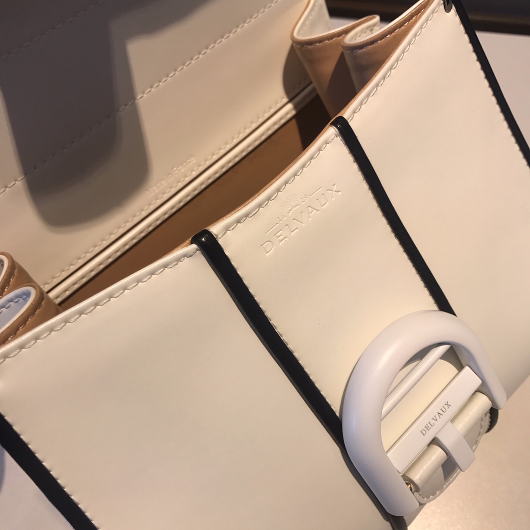 델보 브리앙 복스 토트백 미니